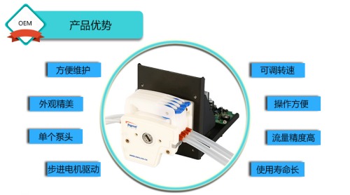 S100-2B+DG精密蠕動(dòng)泵 S100-2B+DG精密蠕動(dòng)泵